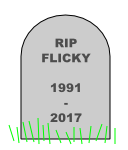 A gravestone that says "RIP FLICKY 1991-2017".  There's some poorly-drawn grass at the bottom of the gravestone.
