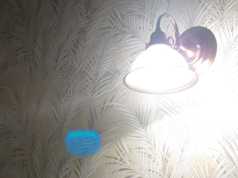 [A picture of an afterimage of a light; it's a blue and blurry blob.]