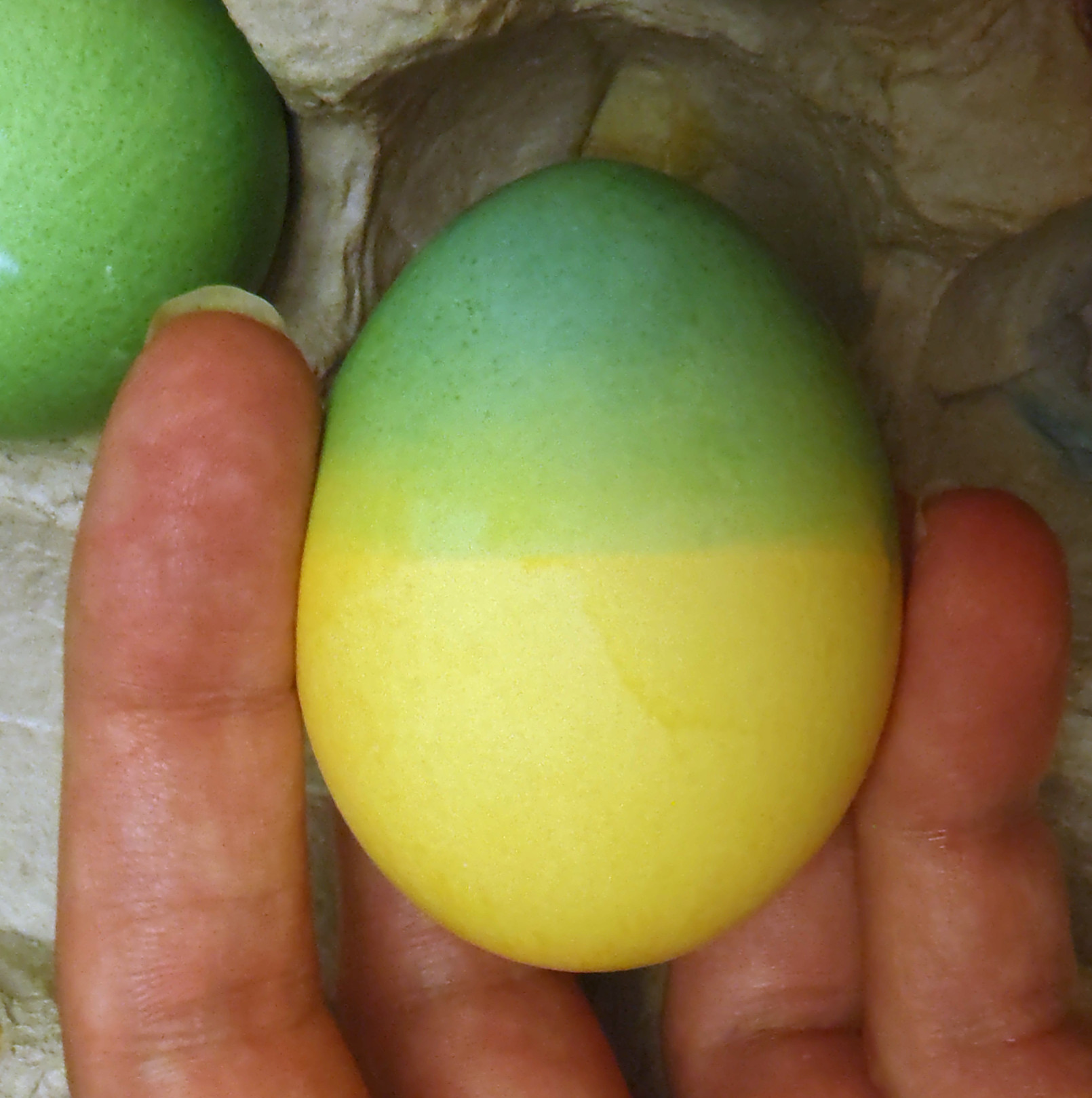 An egg whose top half is greenish or bluish and bottom half is yellow. 