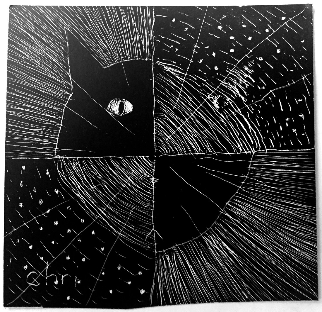 White on black, square.  There are lines dividing the image in half horizontally and vertically.  There is a picture of a cat's face in the middle.  In the top-left and lower-right quadrants, the background has a bunch of white lines radiating out from the center, and the cat's face is black with white outline and white details.  In the other two quadrants, the cat's face is made of a bunch of arcs, centered at the origin, and the background has sparser dotted arcs with the same center and also dots.  There are also a few lines going out from near the origin on top of everything.